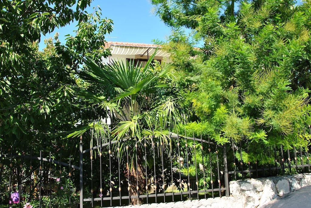 Apartment Zvonar Donji Okrug (Ciovo) Exterior foto